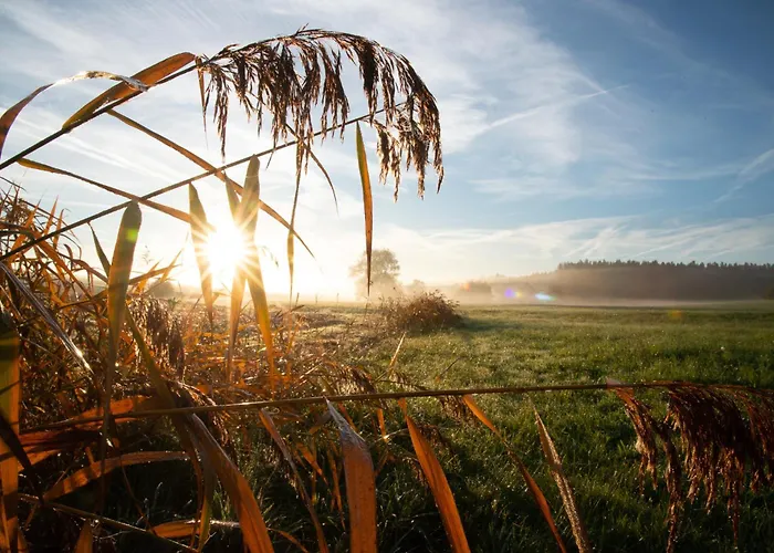 Alpstuga Im Grünen In Seenaehe *