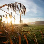 בקתה Im Grünen In Seenaehe *